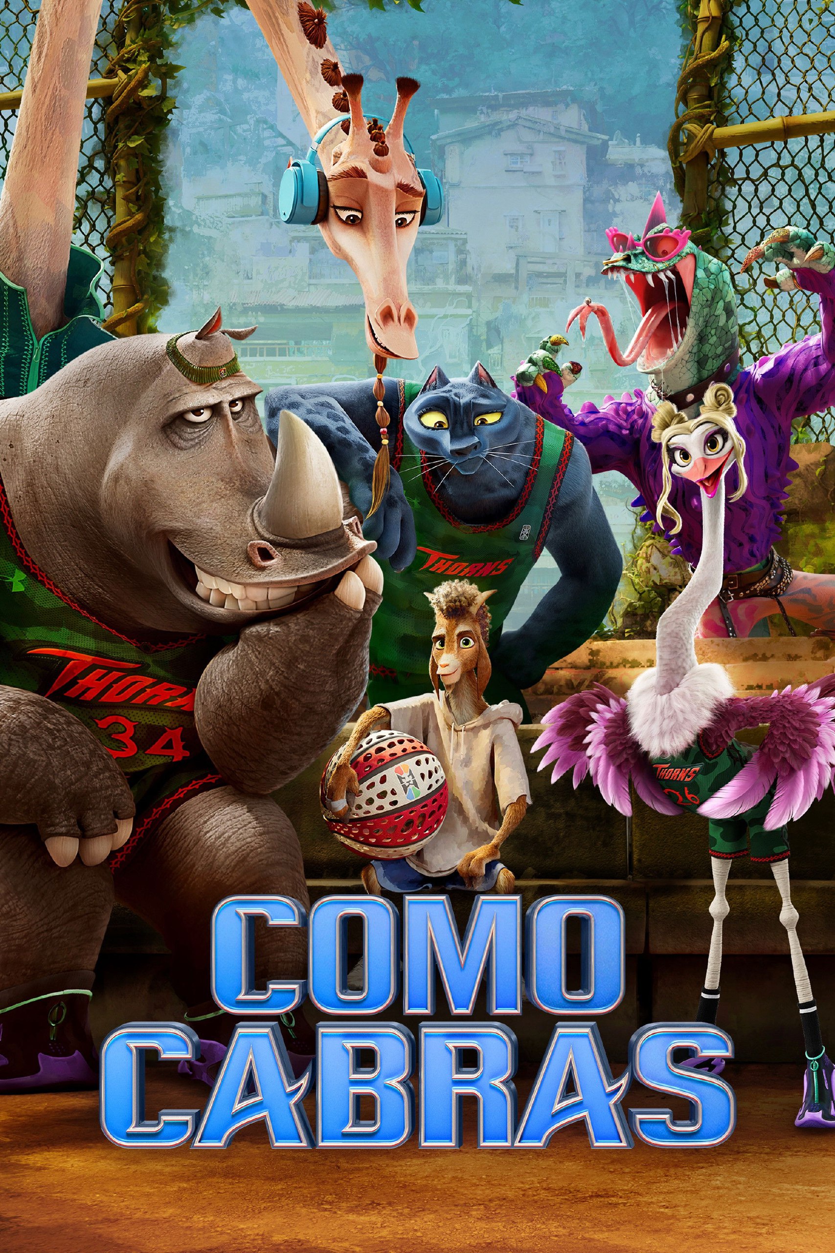 Premium VOD Streaming Service